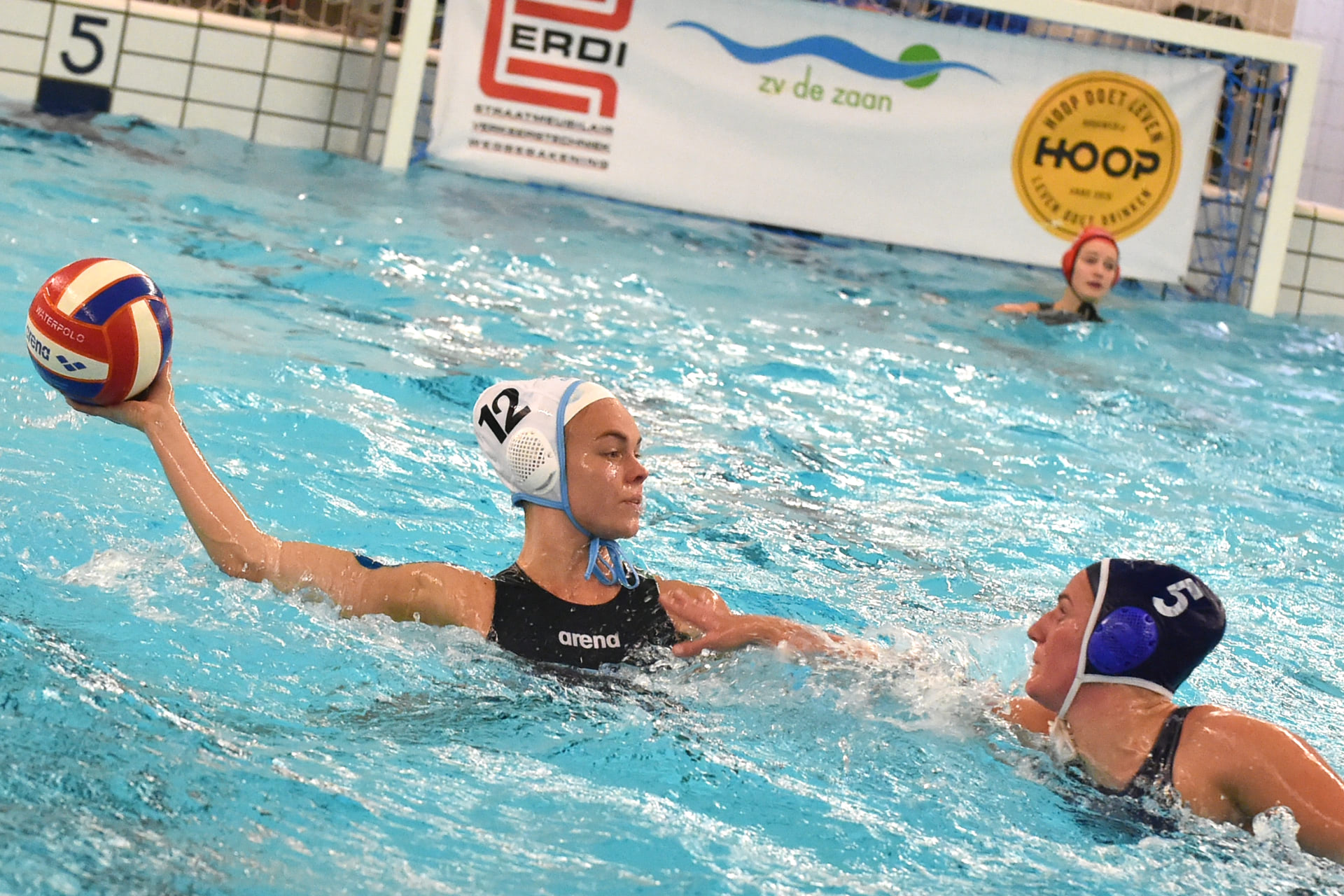 Karakteristieken Eredivisie 11 En 12 November | Waterpolo.nl